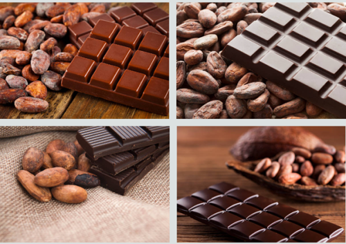 Premium Quality Cocoa Beans