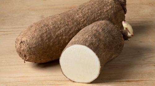 Premium Fresh Yam – Naturally Grown in West Africa