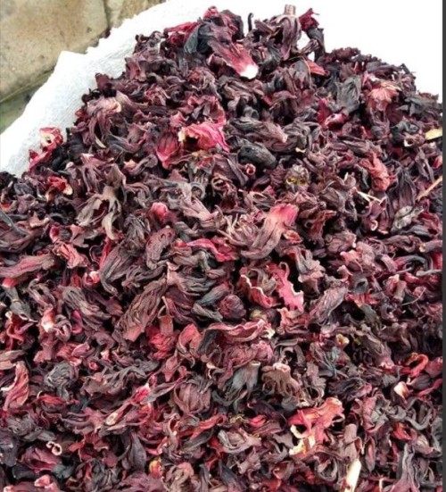 West African Hibiscus Flower