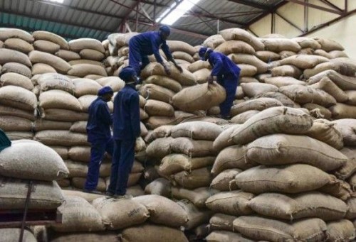 100% Original Food Grade Raw Cashew Nuts